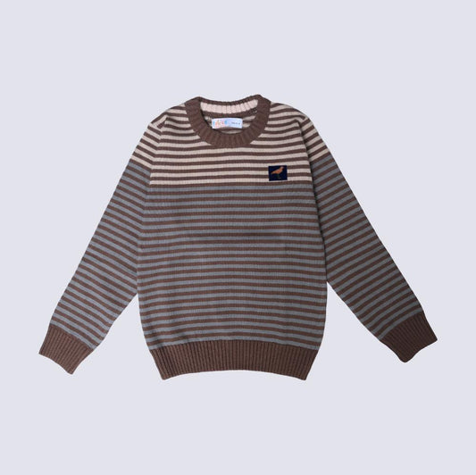 Boys sweater