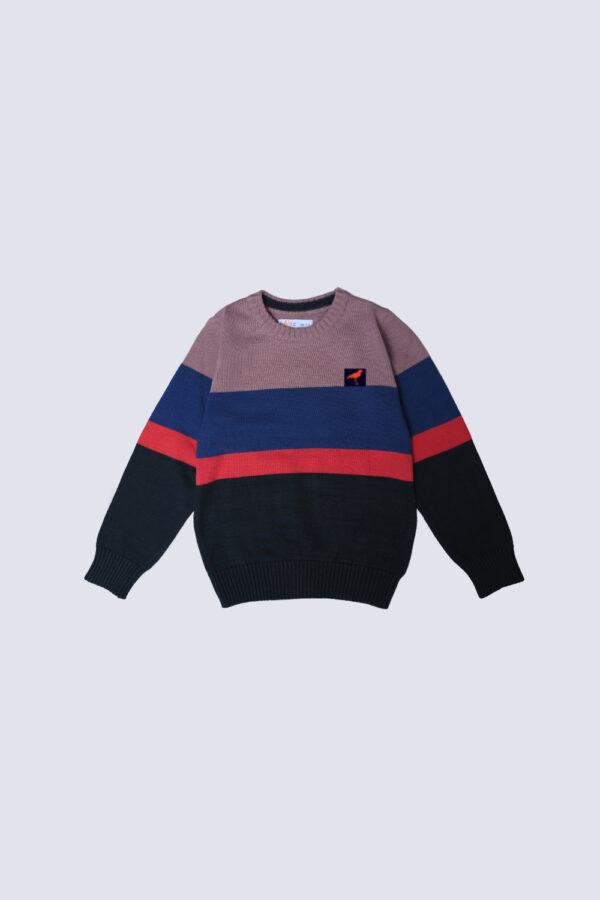 Boys Sweater