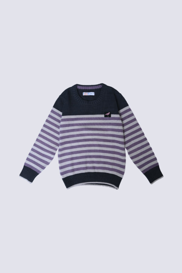 Boys Sweater