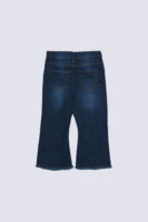 Buterfly Embrioderd Flare Jean