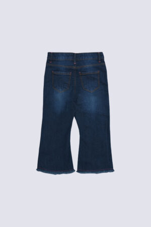 Buterfly embrioderd flare jean