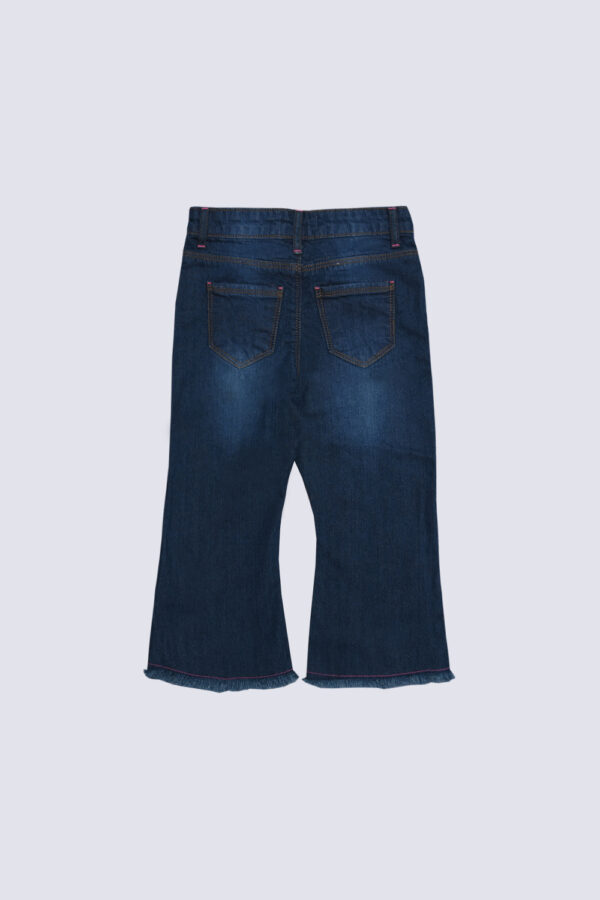 Buterfly embrioderd flare jean