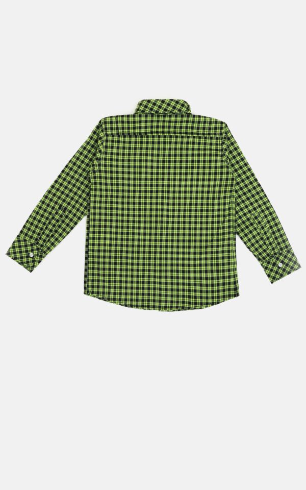 Checkered green button down shirt backside