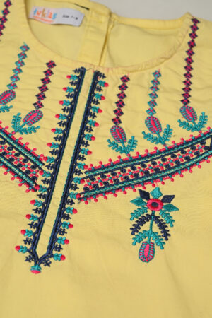 Embroiderd Frock