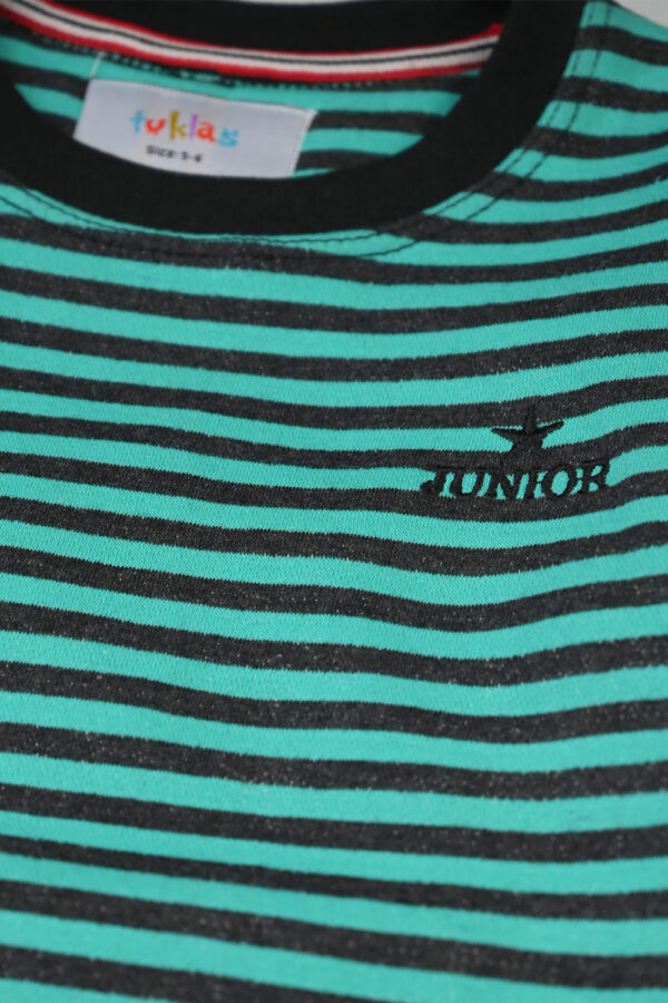 Green Striper Shirt front