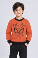 Spider Printed Swaetshirt