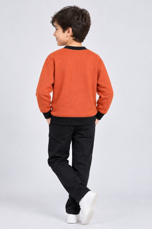 Spider Printed Swaetshirt