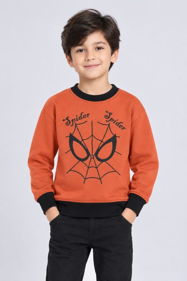 Spider Printed Swaetshirt