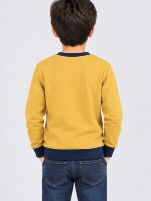 boys printed sweatshirt