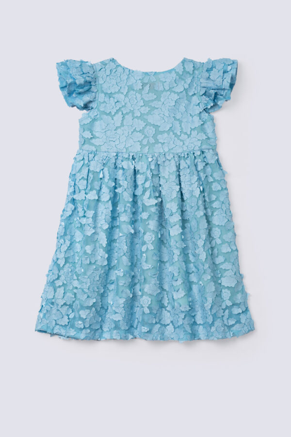 Girls net short sleeves frock