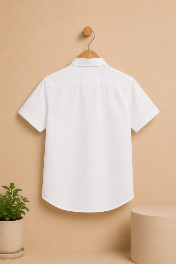 Button Down Shirt