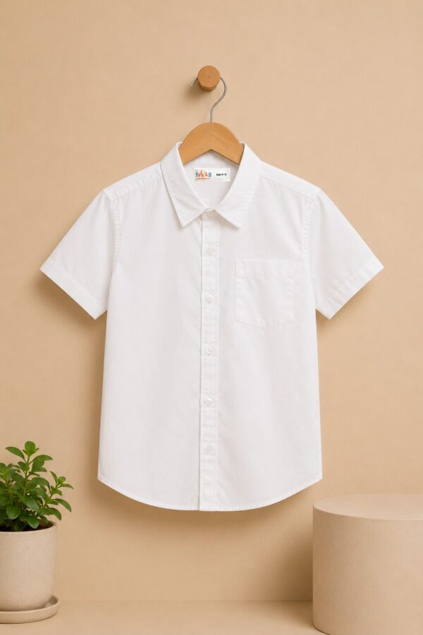 Button Down Shirt