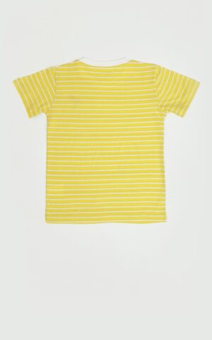 yellow YARN DYED STRIPER TEE