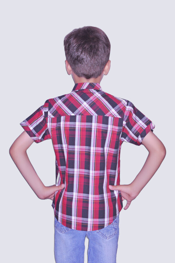 Button Down Check Shirt