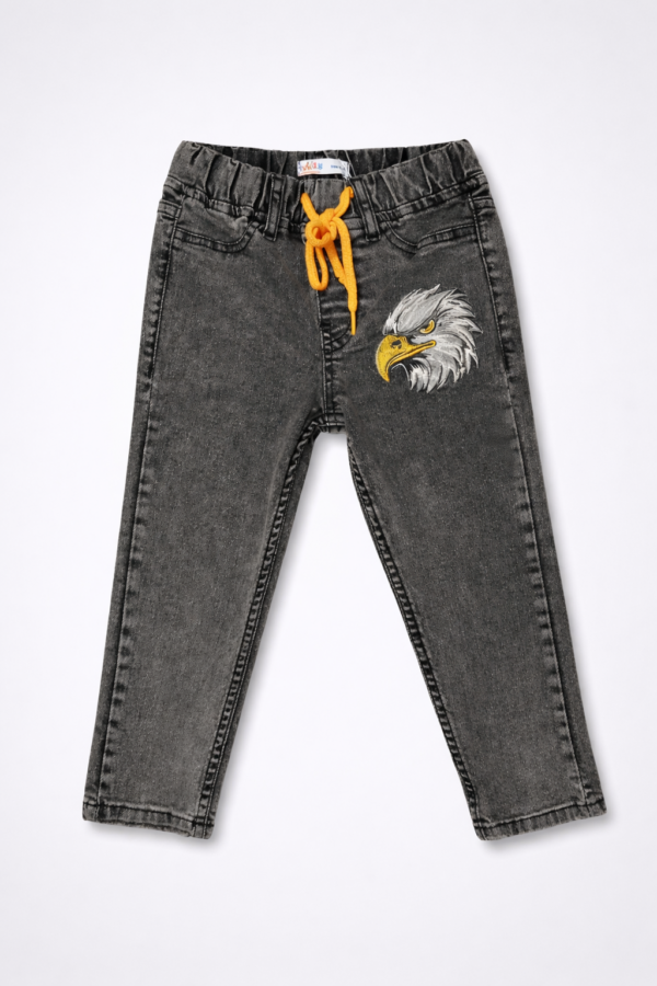 Falcon Embroidered grey jeans