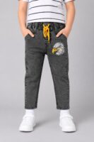 Falcon Embroidered grey jeans