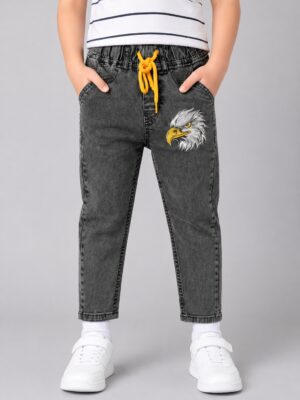 Falcon Embroidered grey jeans