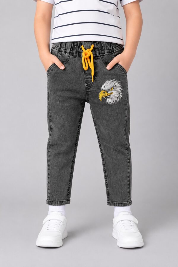 Falcon Embroidered grey jeans
