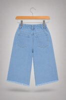 Wide Leg Embroided jeans